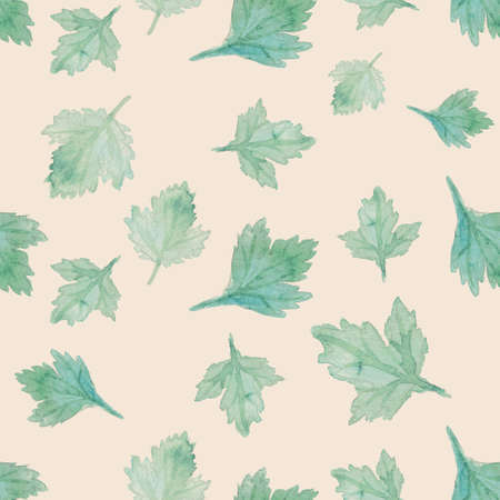 Watercolor seamless pattern hand drawn herb parsley. Leaves and branches of parsley on a white background. Herbs for packaging design, cards, postcards and book illustrationsの写真素材