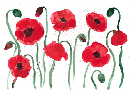Set of red poppies flowers with stems and green buds on a white background. Colorful flowers. Illustration can be used for postcards, banners, textiles, prints. Watercolor.の写真素材