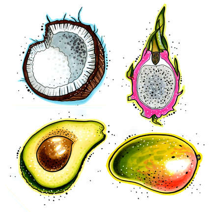 Stylized hand-draw tropical set of fruits isolated on a white background. Avocado, coconut, pitahaya, mango. Cute graphic illustration for design.の写真素材