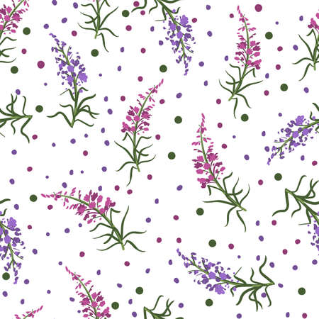 Vector fireweed seamless pattern on white backgroundのイラスト素材