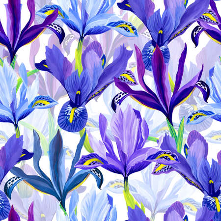Seamless pattern of iris flowers on a white backgroundの写真素材