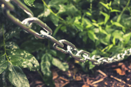 metal chain along the bushes in the park, the passage is blocked, a restricted area - photo, image....