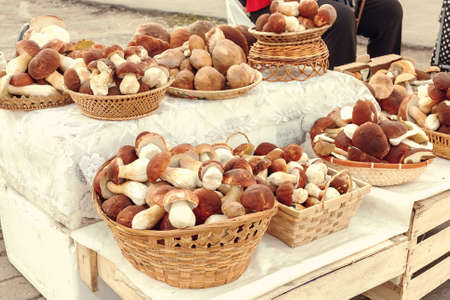 Many beautiful edible forest mushrooms boletus edulis f. pinophilus known as king bolete, penny bun and sep in wicker baskets laid out for sale on the marketの写真素材