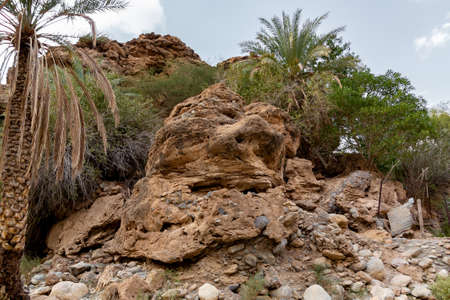 Parched riverbed called wadi in Asia, in the outskirts of Muscat, Omanの写真素材