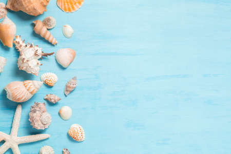 Blue sea background with copy space and seashell border, summer holiday and vacation concept