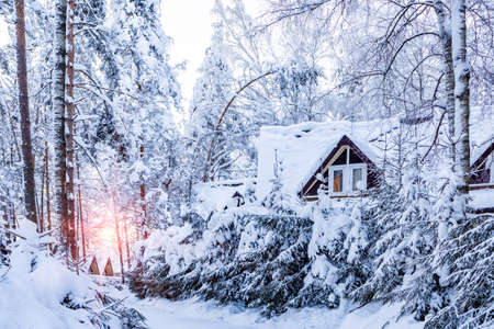 Cottages in the winter snow-covered forest at a ski resortの写真素材