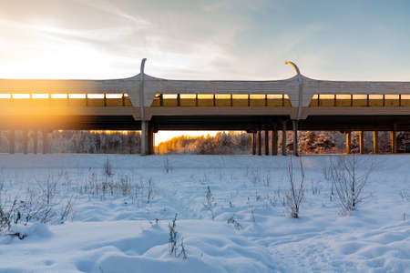 Elevated highway through the winter forest at sunsetの写真素材
