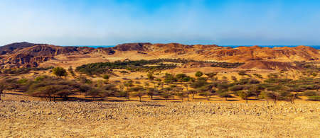 Panoramic view of the Salt Dome in the national park on the island of Sir Bani Yas, Abu Dhabi,...