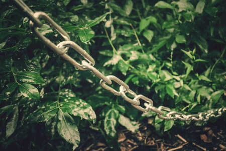 metal chain along the bushes in the park, the passage is blocked, a restricted area - photo, image. Selective soft focusの写真素材