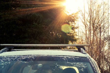 Top of the car on a sunny winter day in the forestの写真素材