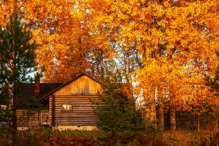 Rustic log house surrounded by autumn trees at sunrise on a foggy morning. Beautiful rural landscapeの写真素材