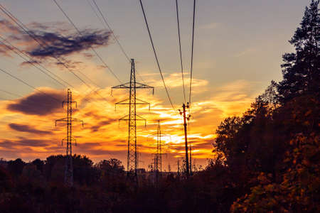 Power lines on the background of forest and sky at sunsetの写真素材