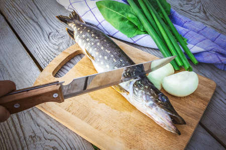 Fresh pike with onions and greens on the cutting Board. Raw fish prepared for cooking
