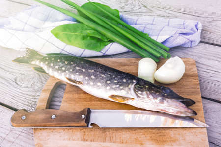 Fresh pike with onions and greens on the cutting Board. Raw fish prepared for cookingの写真素材