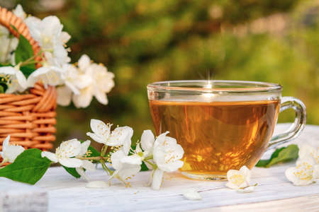 Flowers and petals of philadelphus somewhere called jasmine or mock orange and Cup with fragrant jasmine tea on a white wooden tray outdoors in summerの写真素材