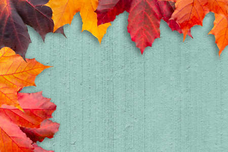 Border of autumn leaves on a green textured background - a beautiful template for an autumn card or...