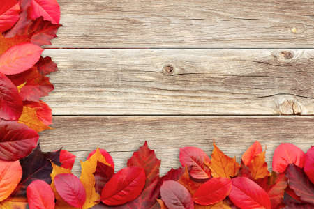 Frame of autumn leaves on a wooden background - a beautiful template for an autumn card or...