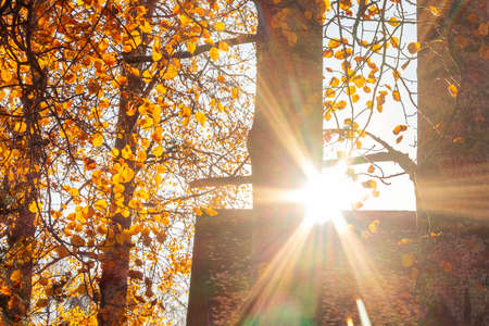 Beautiful autumn landscape - the rays of the setting sun over the roof of a village house surrounded...
