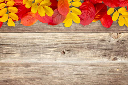Border of autumn leaves on wooden background - a beautiful template for an autumn card or congratulationsの写真素材