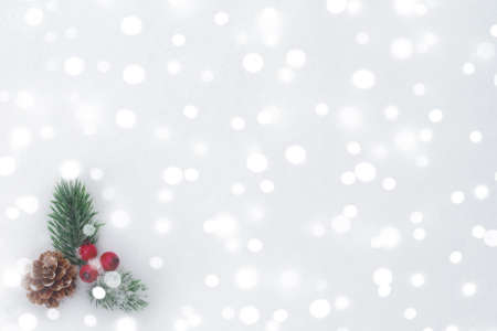 Christmas tree branch, cones and red berries on snowy ice - blank for greeting card or other design, place for text, copy spaceの写真素材