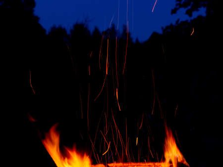 Campfire flame with long sparks against the background of the night forestの写真素材