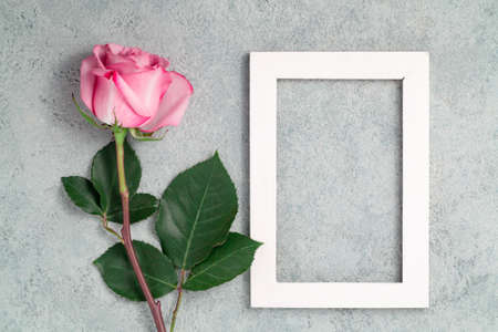 One pink rose and white wooden frame on a concrete surface, template for design or greeting card,...