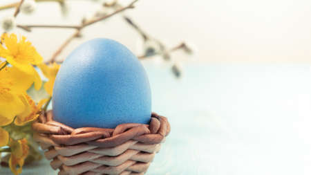 One blue egg in a wicker stand on a blue wooden table with pussy-willow twigs and yellow flowers - blank for design or greeting card, place for text, copy spaceの写真素材