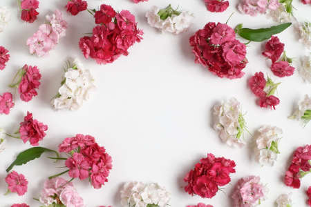 Floral arrangement with copy space. Template for greeting card or design. Frame of pink carnations on a white wooden background.の写真素材