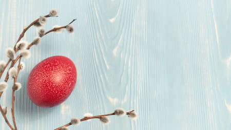 One red egg on a blue wooden table with pussy-willow twigs - horizontal blank for design or greeting card, place for text, copy spaceの写真素材