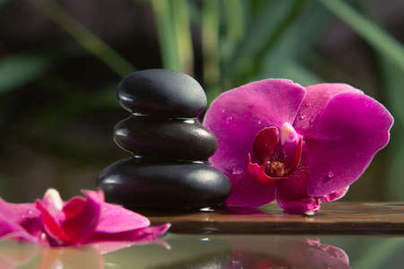 Black zen stones and pink orchids on a wooden plank on the surface of the water. SPA, relaxation,...