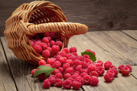 Ripe forest raspberries scattered from a small basket on a wooden table
