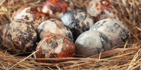 Easter composition - multicolored marble Easter eggs painted with natural dyes in a nest of hay,...