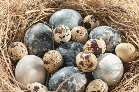 Easter composition - beige and blue marble Easter eggs painted with natural dyes in a nest of hayの写真素材