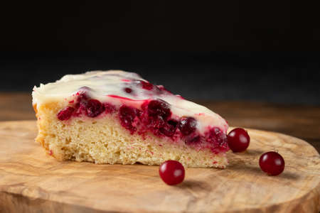 Homemade cake with cranberries and sour cream. Piece of pie close upの写真素材