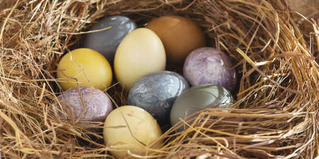 Easter composition - colorful Easter eggs painted with natural dyes in a nest of hay, horizontal bannerの写真素材