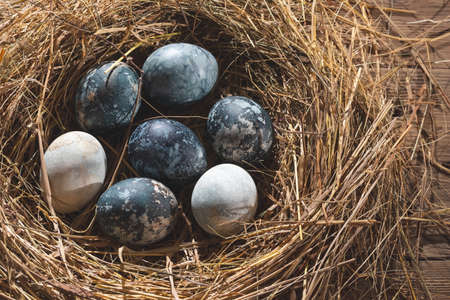 Easter composition - blue marble Easter eggs painted with natural dyes in a nest of hayの写真素材