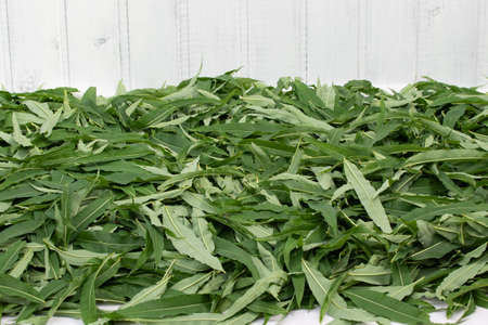 Harvesting fireweed for tea - drying laid out leavesの写真素材
