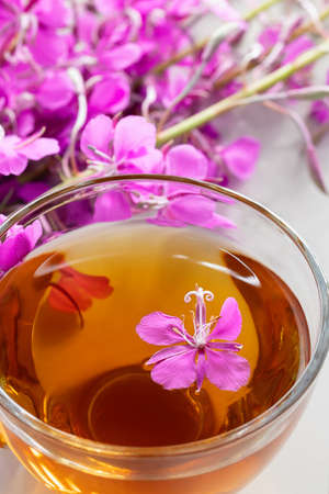Fireweed herb known as blooming sally and tea in a cup, vertical imageの写真素材