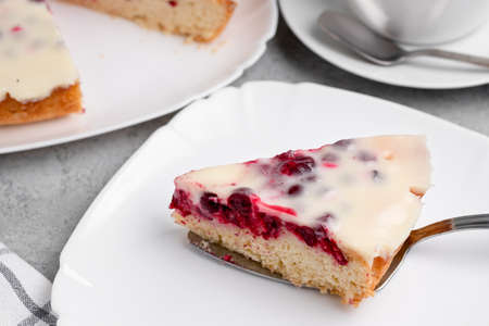 Homemade cake with cranberries and sour cream. Piece of pie close upの写真素材