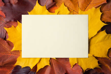 Blank sheet of paper with place for text on colorful autumn leaves. Template for design or postcards