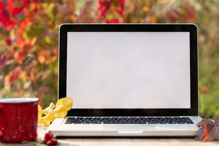 Laptop with blank screen on a table in the autumn garden. Template for ads, design, advertisingの写真素材