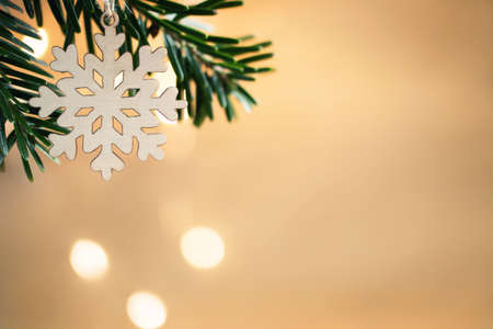 Zero waste and eco friendly christmas concept. Dried orange on a Christmas tree branch on a background of a wooden wall, copy spaceの写真素材