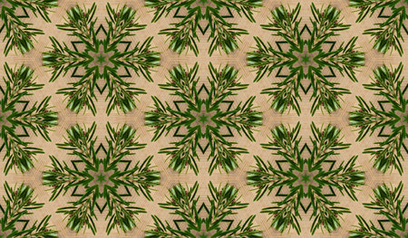 Abstract seamless texture from photo of fir branches on a wooden backgroundの写真素材