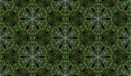 Abstract seamless texture from photo of fir branchesの写真素材