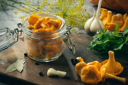 Preserving chanterelle mushrooms in a jar with spices and herbs. Pickling wild edible mushroomsの写真素材