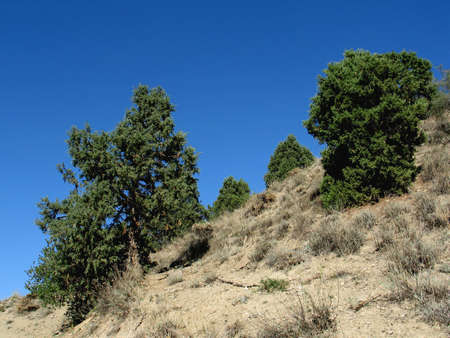 mountain landscape in armenia,autumnの写真素材