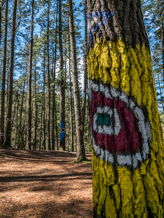 The lookの写真素材