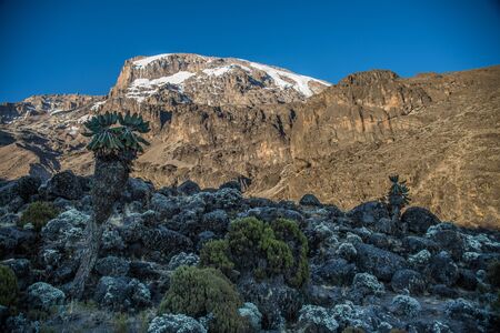 Kilimanjaro view from Machame route trailの写真素材