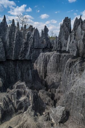 Bemaraha tsingy nature reserve view, Madagascarの写真素材