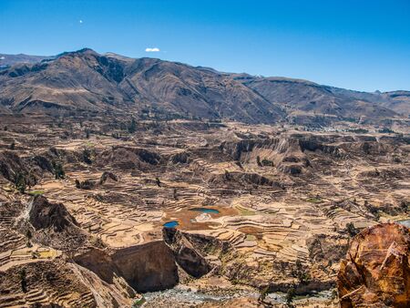 Incan terraced fields in Colca Valley, Peruの写真素材